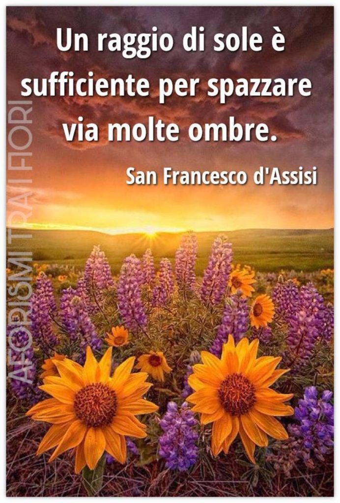 Un raggio di sole è sufficiente per spazzare via molte ombre. (S. Francesco d'Assisi)